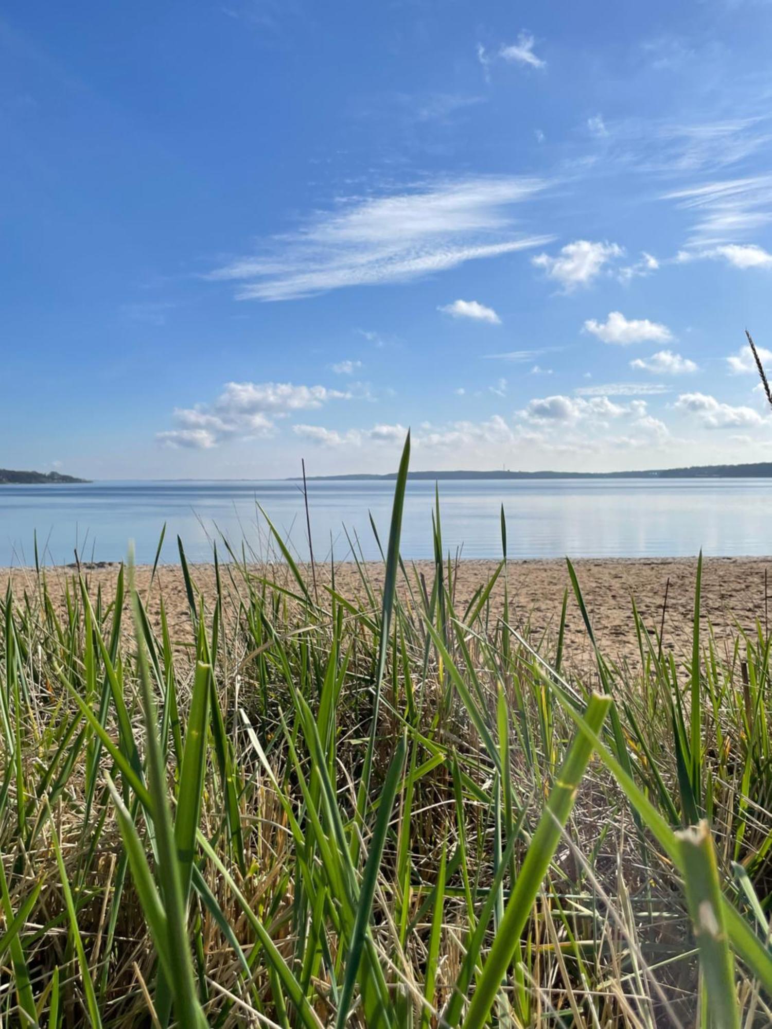 Strandliebe - Fewo Mit Meerblick Harrislee Exterior foto